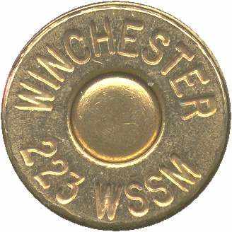 Winchester223wssmG.jpg