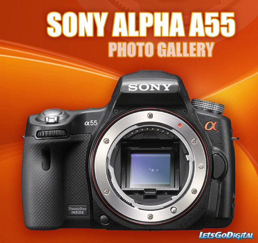 sony-alpha-55-photo-gallery.jpg