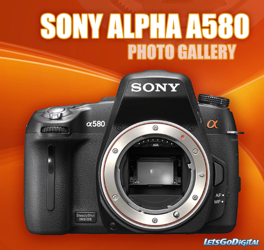 sony-alpha-580-photo-gallery.jpg