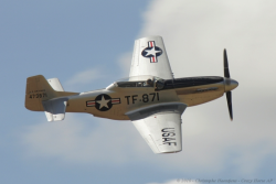 thumb_flm_1382552234__mustang_01.png